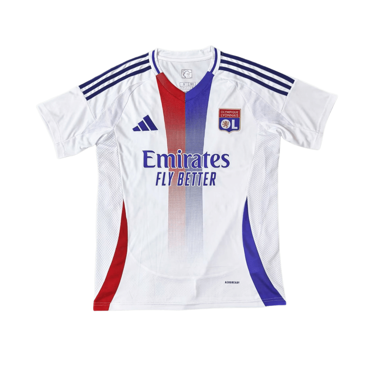 ליון עיצוב בית 2024 - BEST SOURCE SNKRS