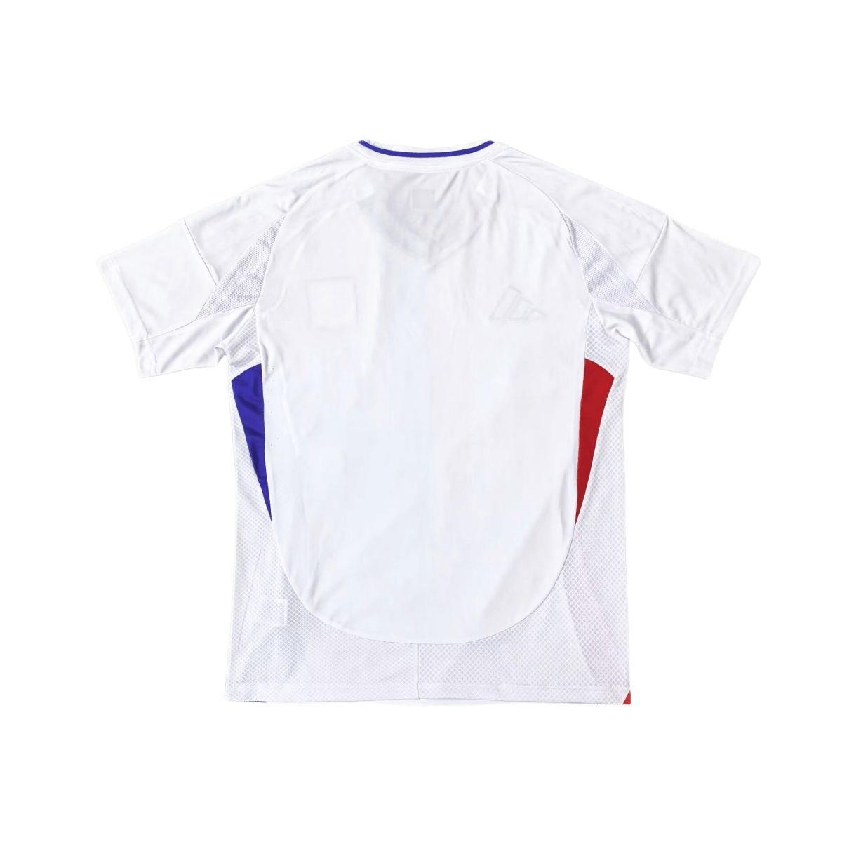 ליון עיצוב בית 2024 - BEST SOURCE SNKRS